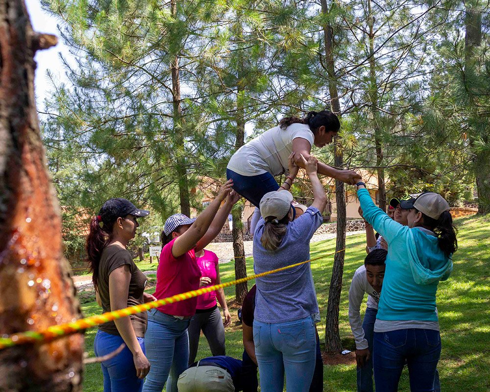 actividad en bosque