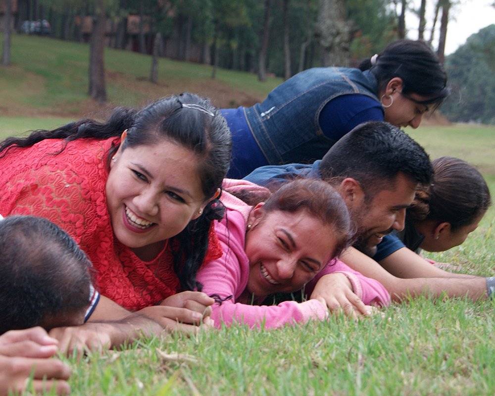 alfombra
